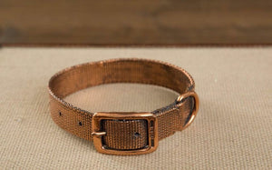 Bronze preserved pet collar keepsake